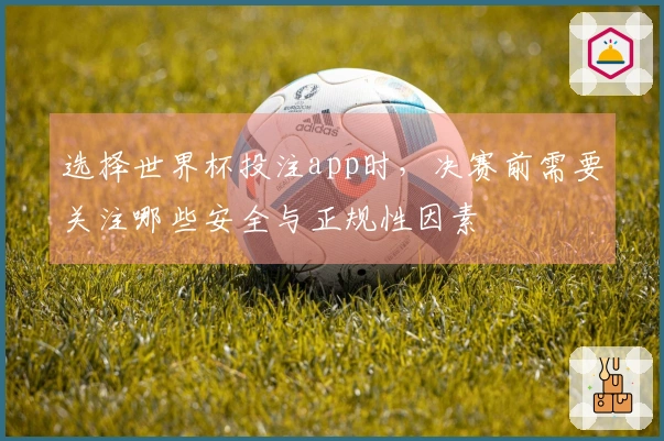 选择世界杯投注app时,决赛前需要关注哪些安全与正规性因素