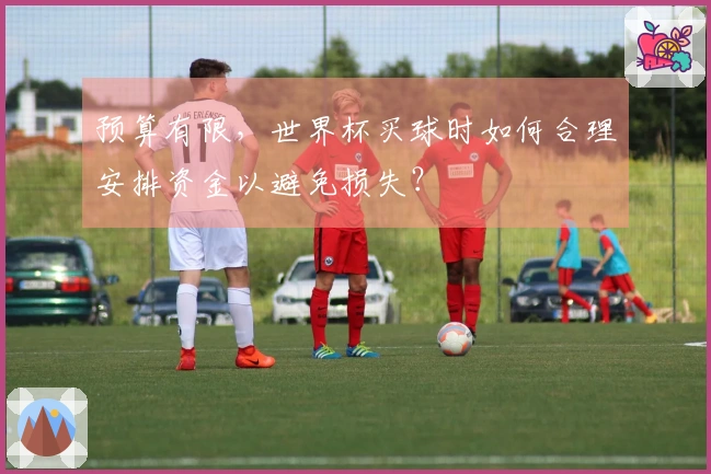 预算有限，世界杯买球时如何合理安排资金以避免损失？