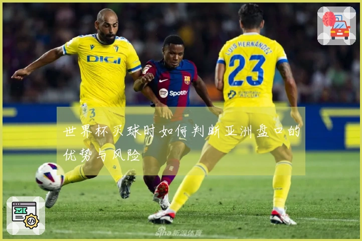 世界杯买球时如何判断亚洲盘口的优势与风险