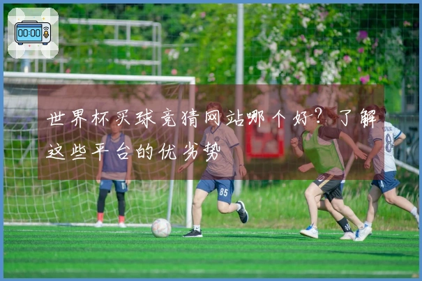 世界杯买球竞猜网站哪个好？了解这些平台的优劣势