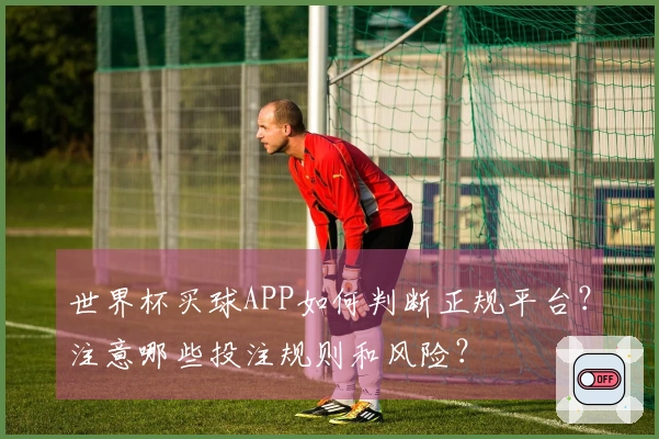世界杯买球APP如何判断正规平台？注意哪些投注规则和风险？