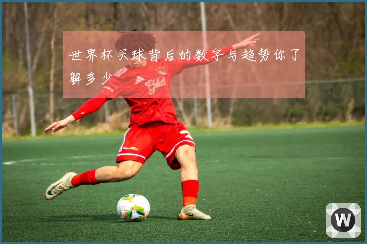 世界杯买球背后的数字与趋势你了解多少
