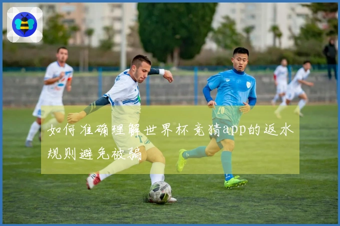 如何准确理解世界杯竞猜app的返水规则避免被骗
