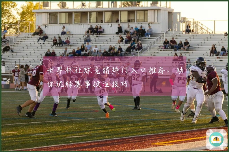 世界杯让球竞猜热门入口推荐，助你玩转赛事投注技巧