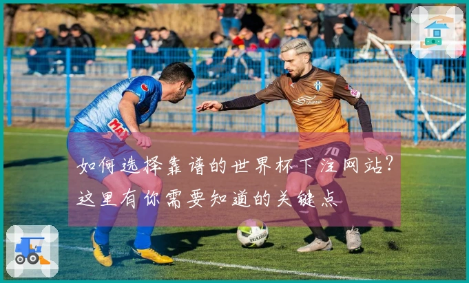 如何选择靠谱的世界杯下注网站?这里有你需要知道的关键点