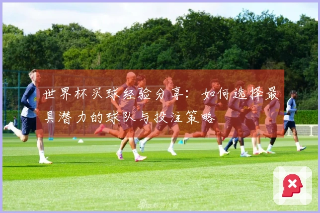 世界杯买球经验分享：如何选择最具潜力的球队与投注策略
