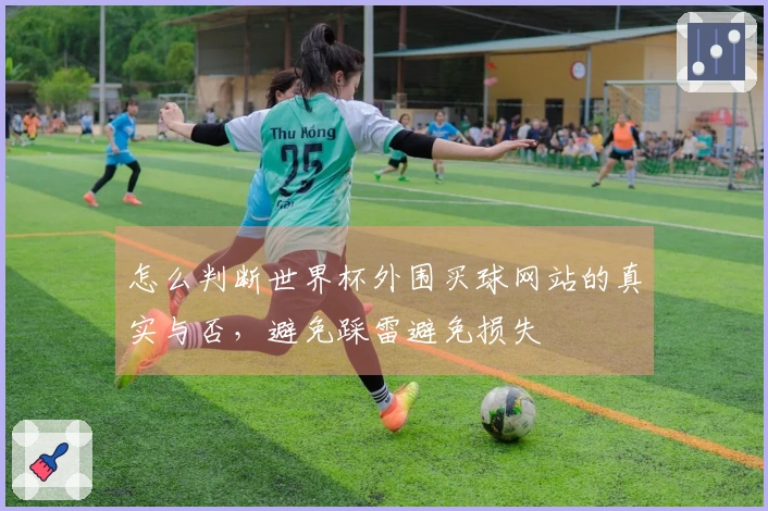 怎么判断世界杯外围买球网站的真实与否，避免踩雷避免损失