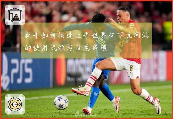 新手如何快速上手世界杯下注网站的使用流程与注意事项