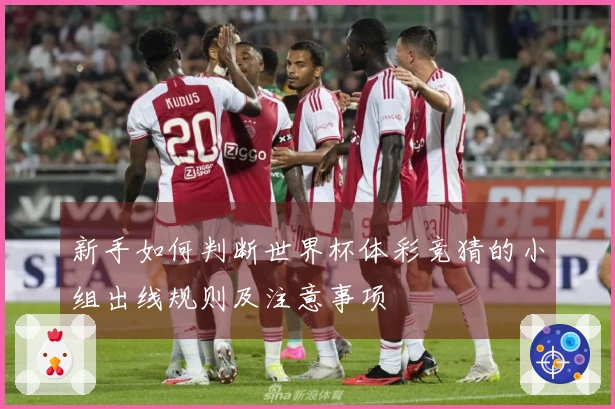 新手如何判断世界杯体彩竞猜的小组出线规则及注意事项