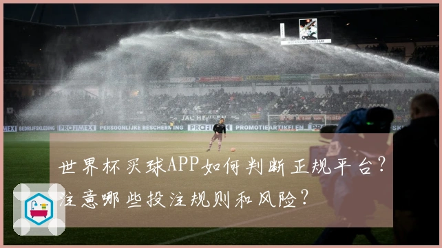 世界杯买球APP如何判断正规平台?注意哪些投注规则和风险?