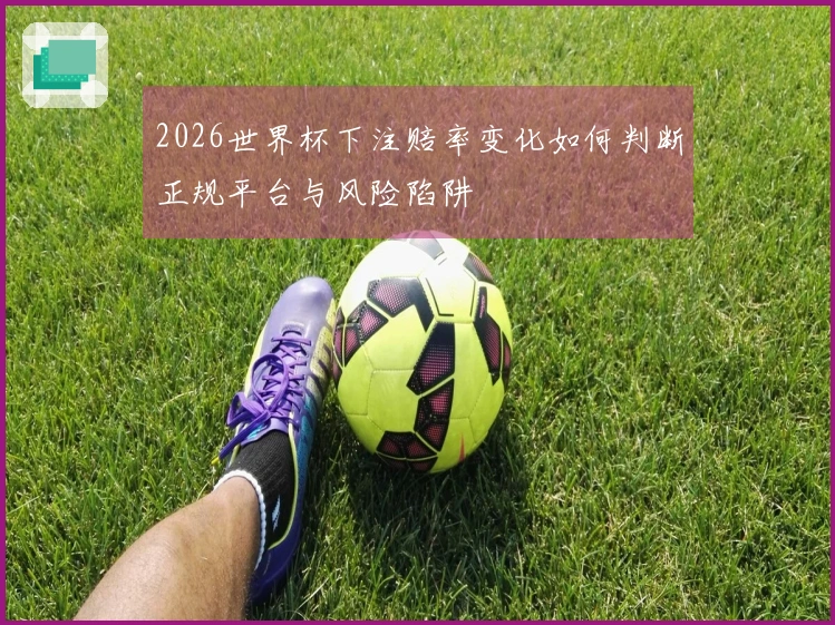 2026世界杯下注赔率变化如何判断正规平台与风险陷阱