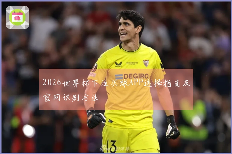 2026世界杯下注买球APP选择指南及官网识别方法