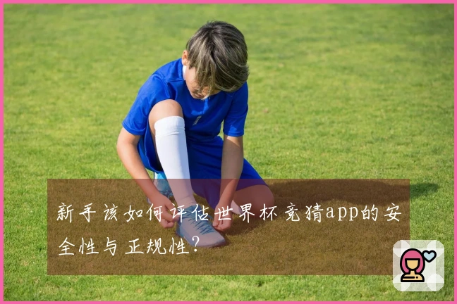新手该如何评估世界杯竞猜app的安全性与正规性?