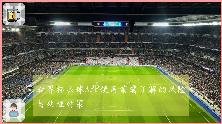 世界杯买球APP使用前需了解的风险与处理对策
