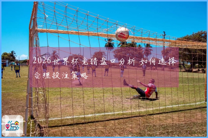 2026世界杯竞猜盘口分析 如何选择合理投注策略