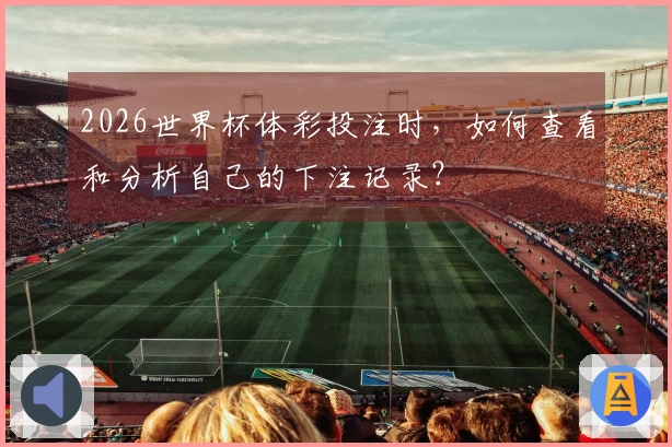 2026世界杯体彩投注时，如何查看和分析自己的下注记录？