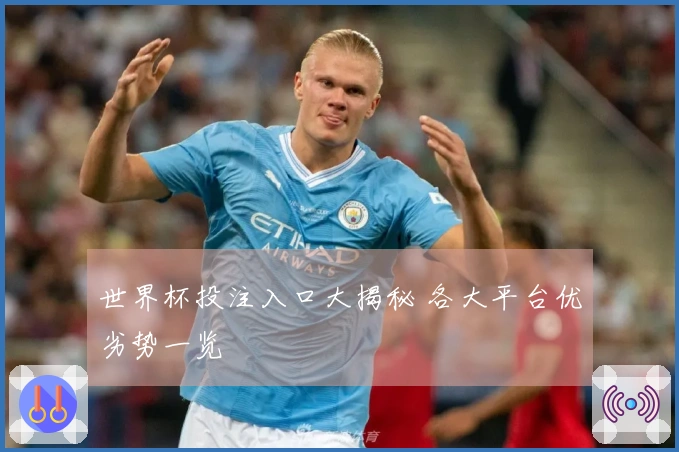 世界杯投注入口大揭秘 各大平台优劣势一览