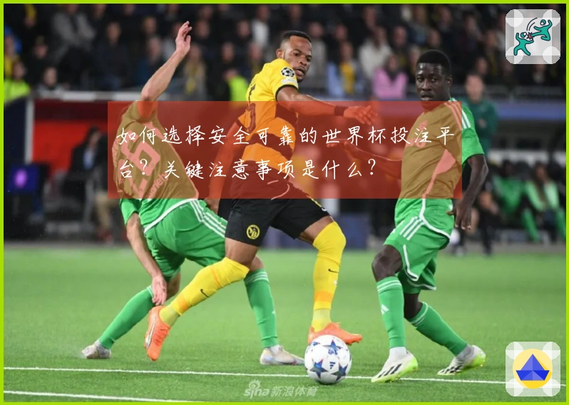如何选择安全可靠的世界杯投注平台？关键注意事项是什么？