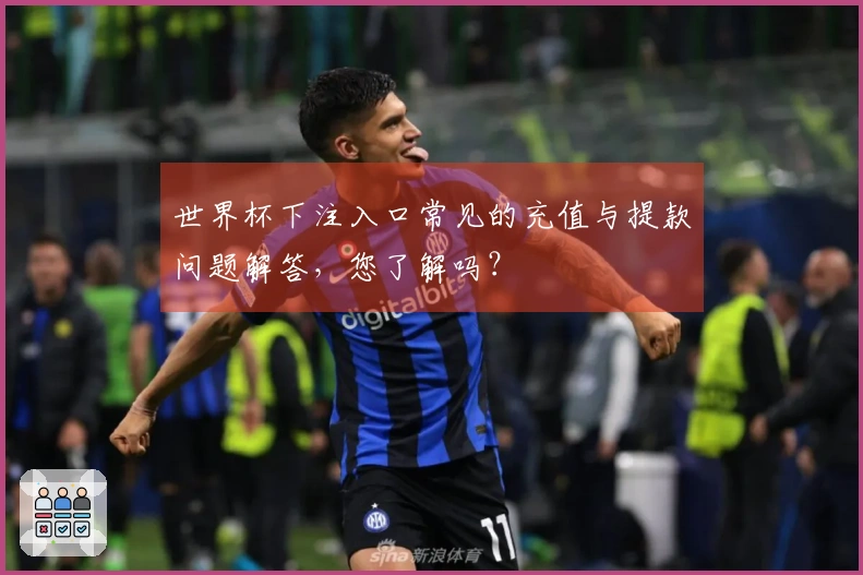 世界杯下注入口常见的充值与提款问题解答，您了解吗？