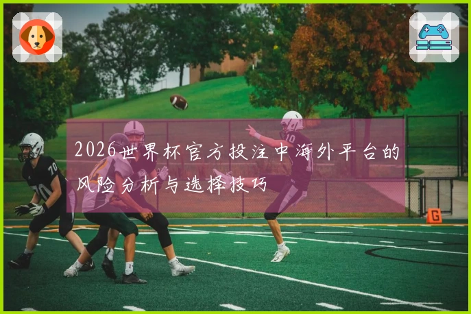 2026世界杯官方投注中海外平台的风险分析与选择技巧