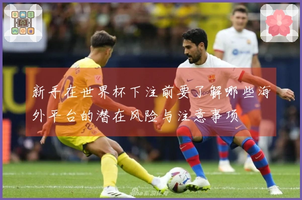 新手在世界杯下注前要了解哪些海外平台的潜在风险与注意事项