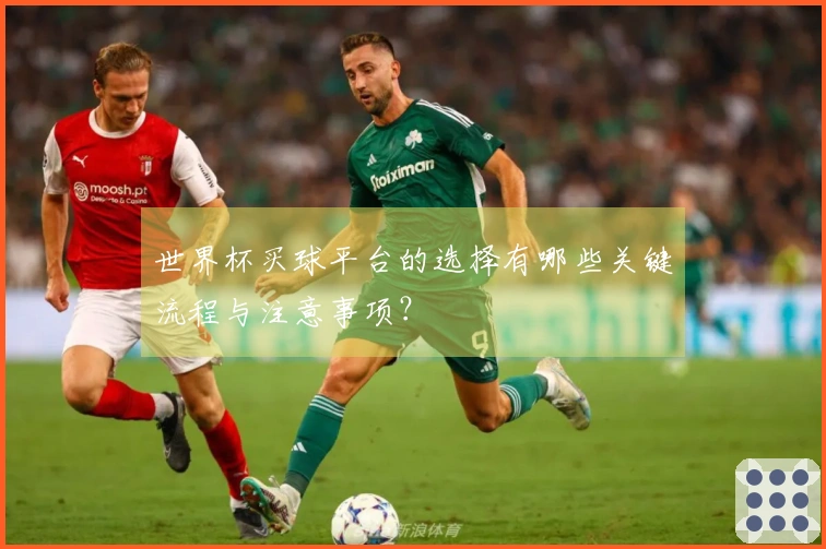 世界杯买球平台的选择有哪些关键流程与注意事项？