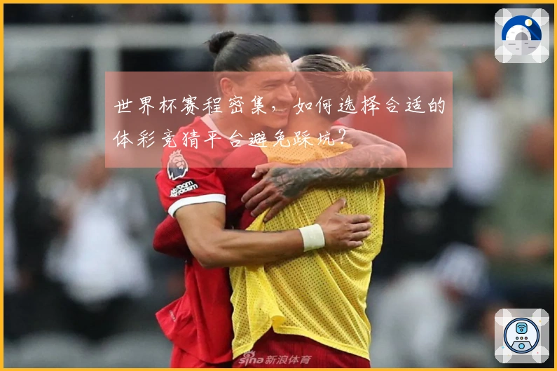 世界杯赛程密集，如何选择合适的体彩竞猜平台避免踩坑？