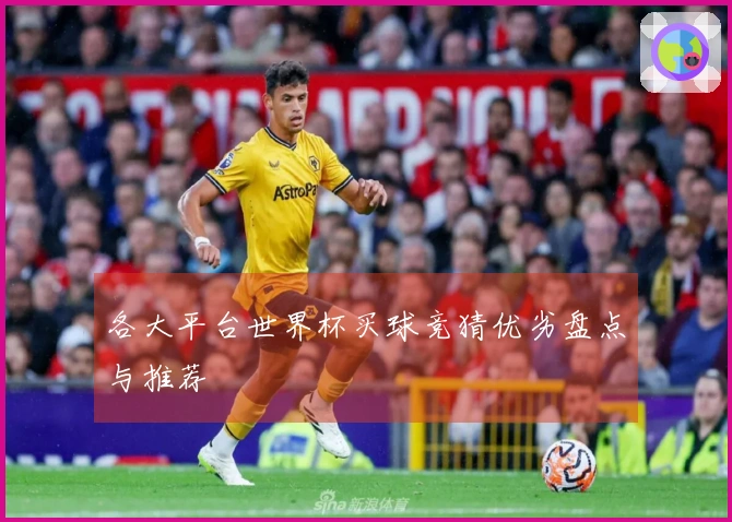 各大平台世界杯买球竞猜优劣盘点与推荐