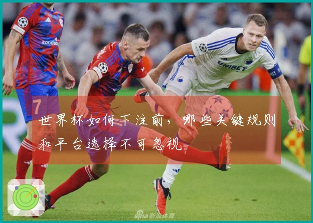 世界杯如何下注前，哪些关键规则和平台选择不可忽视