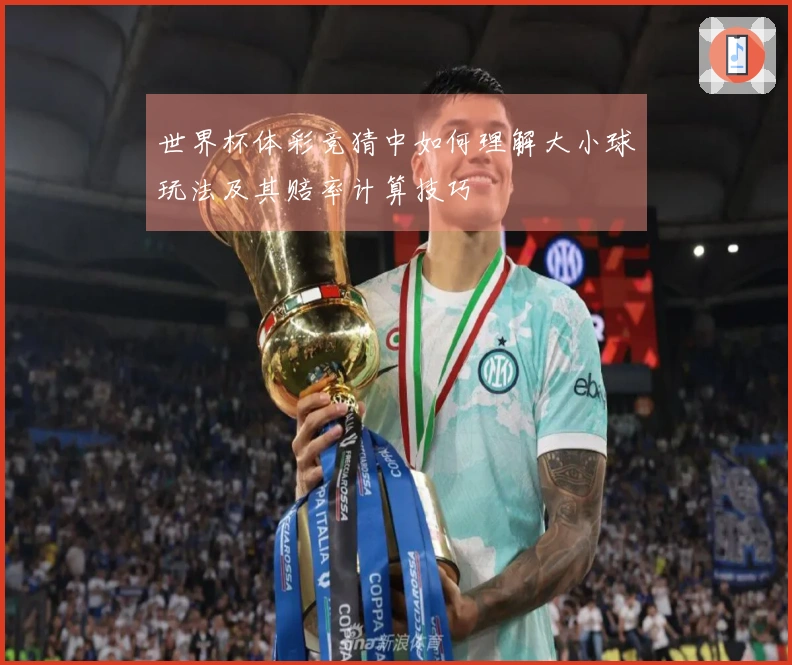 世界杯体彩竞猜中如何理解大小球玩法及其赔率计算技巧