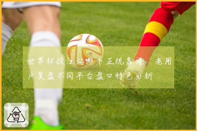 世界杯投注站哪个正规靠谱,老用户复盘不同平台盘口特色分析