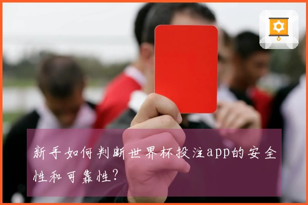 新手如何判断世界杯投注app的安全性和可靠性?