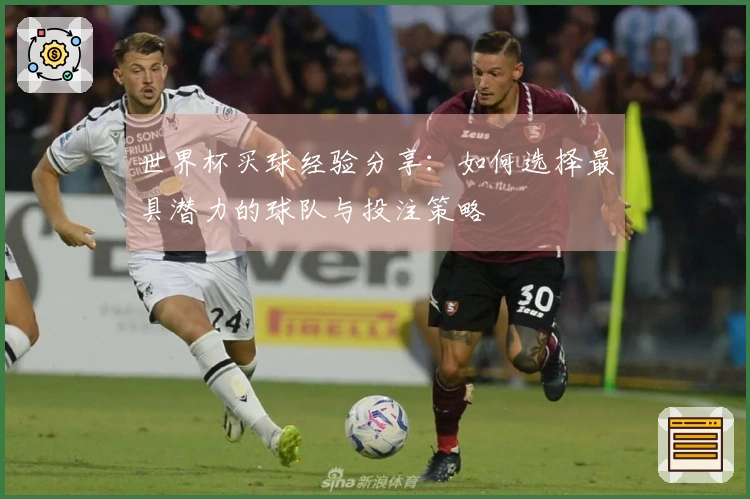 世界杯买球经验分享：如何选择最具潜力的球队与投注策略