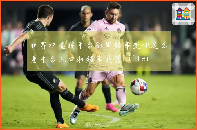 世界杯竞猜平台冠军赔率变化怎么看平台入口和赔率走势Filter