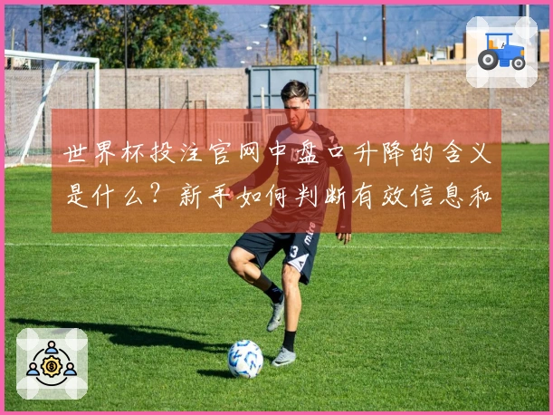 世界杯投注官网中盘口升降的含义是什么？新手如何判断有效信息和风险？