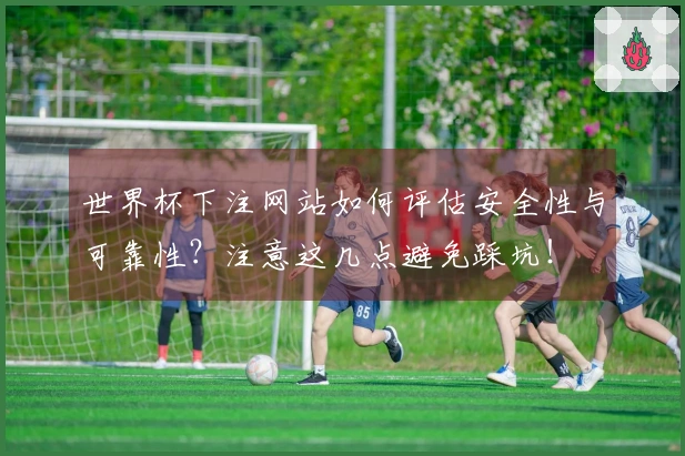 世界杯下注网站如何评估安全性与可靠性？注意这几点避免踩坑！