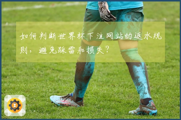 如何判断世界杯下注网站的返水规则，避免踩雷和损失？