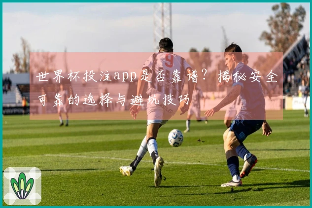 世界杯投注app是否靠谱？揭秘安全可靠的选择与避坑技巧