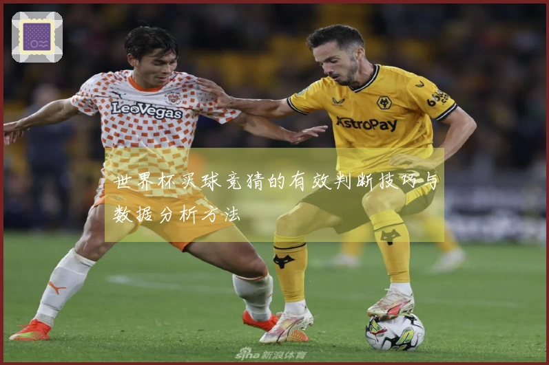 世界杯买球竞猜的有效判断技巧与数据分析方法