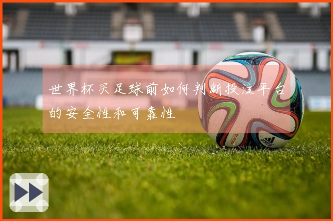 世界杯买足球前如何判断投注平台的安全性和可靠性