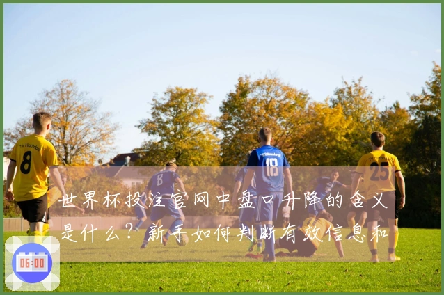世界杯投注官网中盘口升降的含义是什么？新手如何判断有效信息和风险？