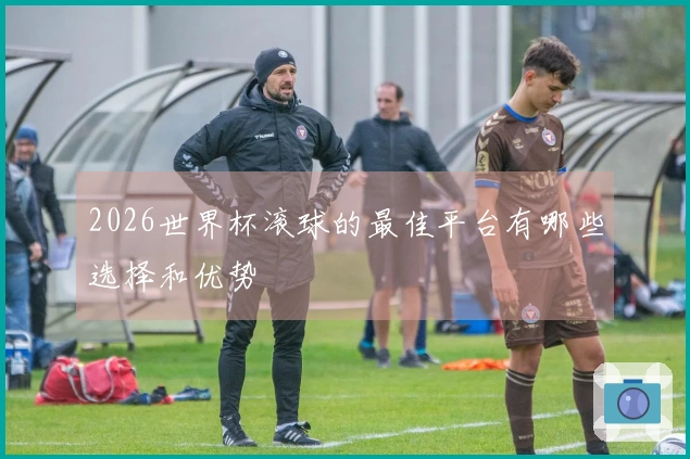 2026世界杯滚球的最佳平台有哪些选择和优势
