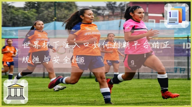 世界杯下注入口如何判断平台的正规性与安全性