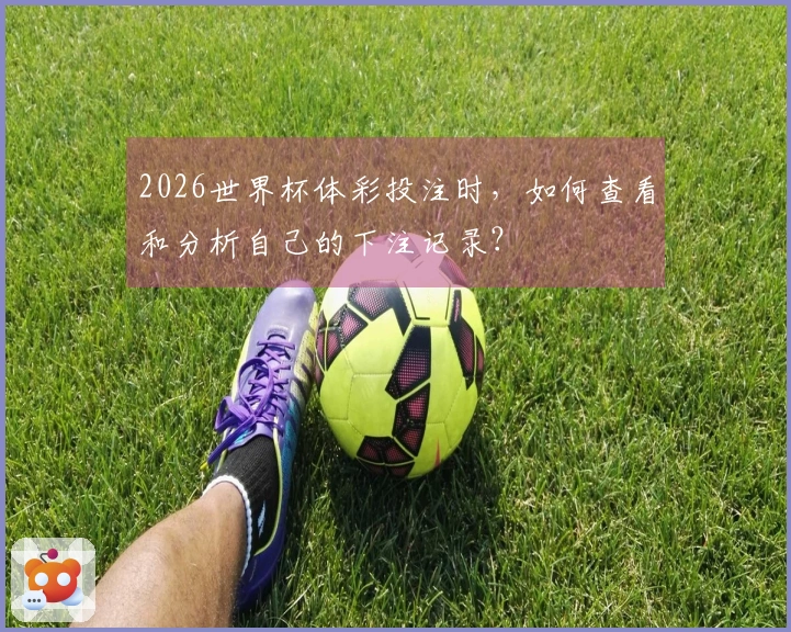 2026世界杯体彩投注时,如何查看和分析自己的下注记录?